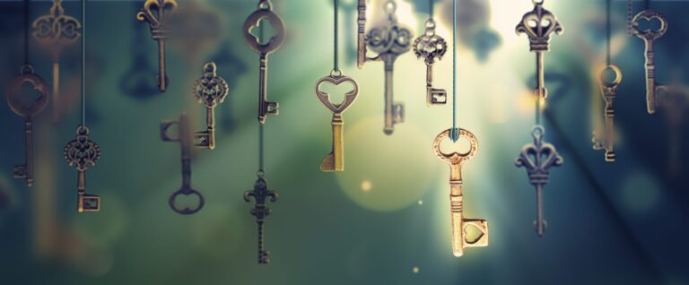 SolDevelo blog Key to success