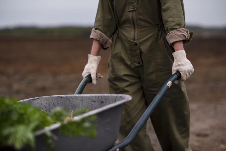 person working in the field agricultural openimis insurance management